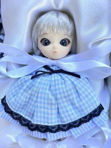 Nib jun planning pullip - nib,