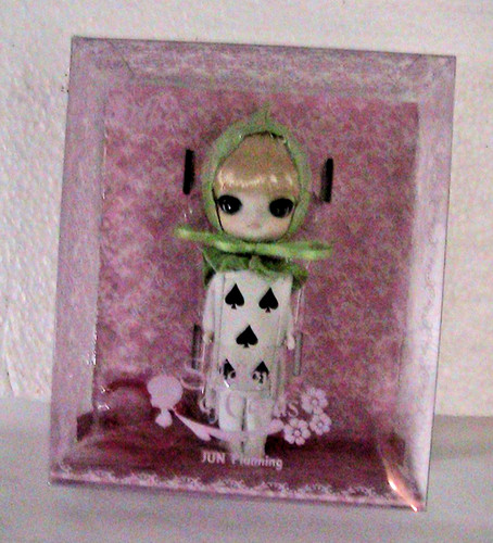Jun planning pullip - jun,