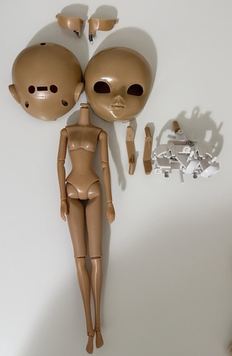 Tan pullip mio kit - pullip,