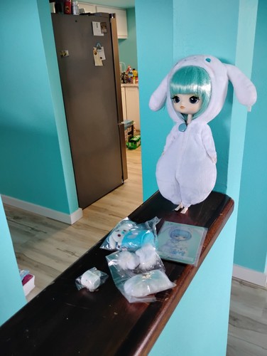 Cinnamoroll sanrio pullip dal - cinnamoroll,